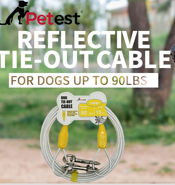 Petest Company Values